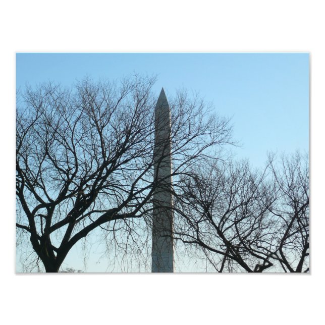 Foto Monumento a Washington na paisagem do inverno I (Frente)