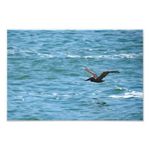 Foto Monumento Nacional Cabrillo