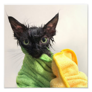 Foto Moop, banho poste