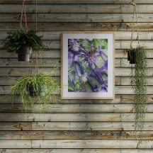 Mosca-flutuante na Flor de Cardo Eryngium Roxo