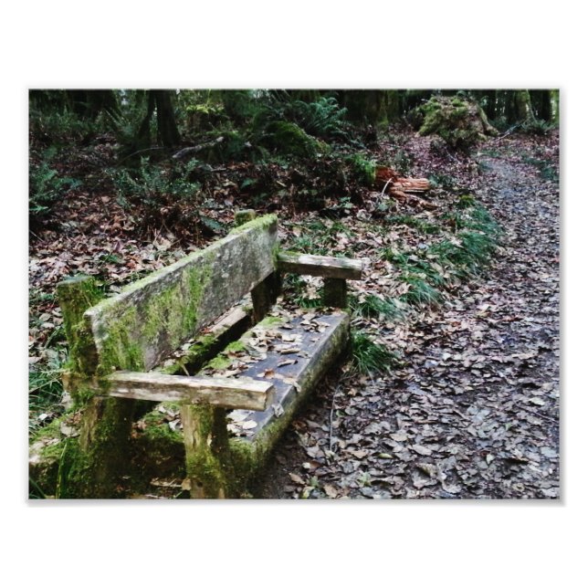 Foto Mossy Bench Nature Trail na Olimpiadas National Pa (Frente)