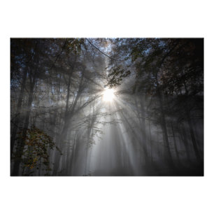 Foto Motivo do silêncio