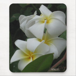 Foto Mousepad dos Frangipanis