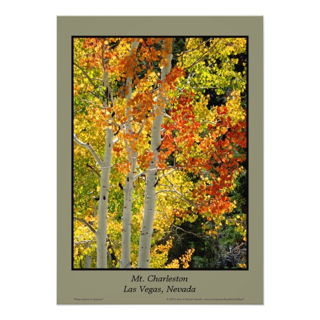 Foto Mt. Charleston NV Autumn Aspen Trees Poster (Frente)