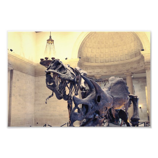 Foto Museu de História Natural de Los Angeles  (Frente)