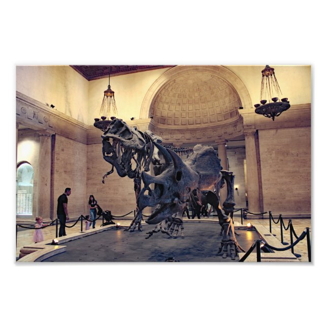 Foto Museu de História Natural de Los Angeles (Frente)