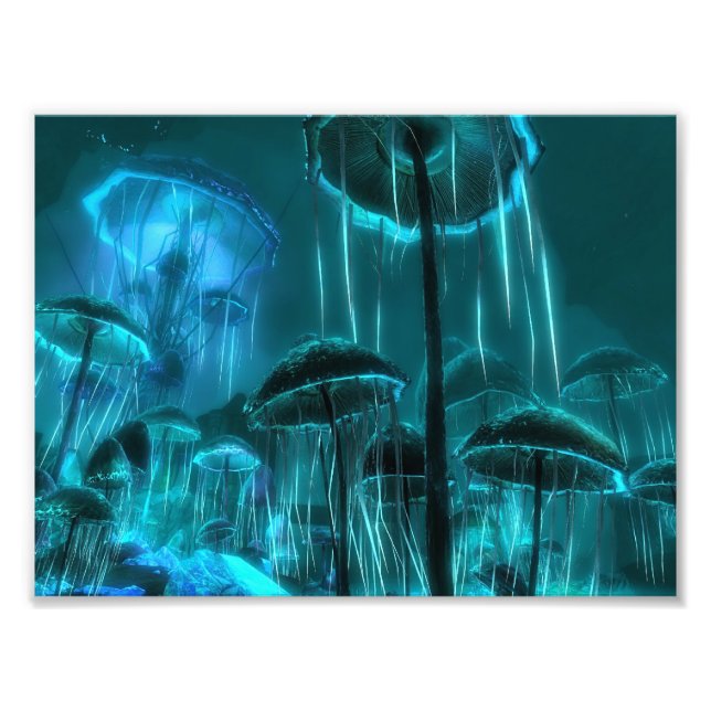 Foto Mushroom Jellyfish (Frente)