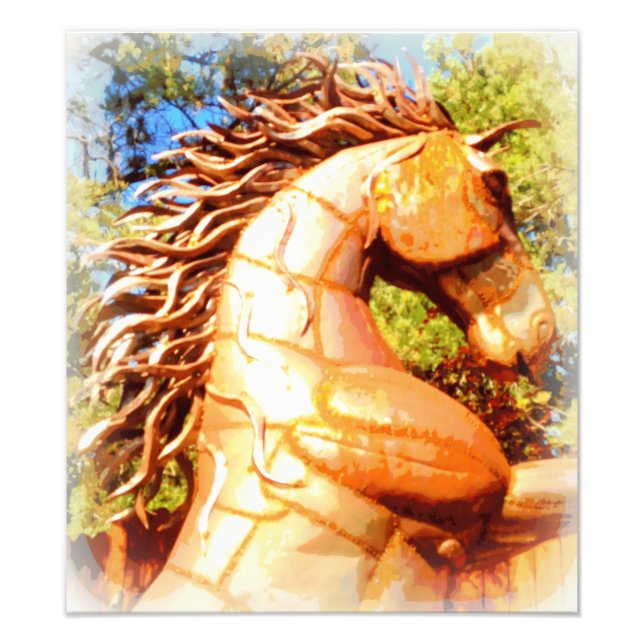 Foto mustang stallion (Frente)