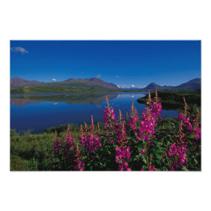 Foto N.A., EUA, Alasca, Alaska Range Comum