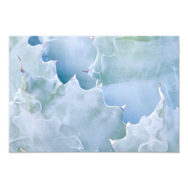 Foto N.A., EUA, Arizona, Tucson, Sonora Desert 2 (Frente)