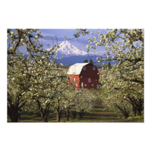Foto N.A., EUA, Oregon, Condado de Hood River. Vermelho