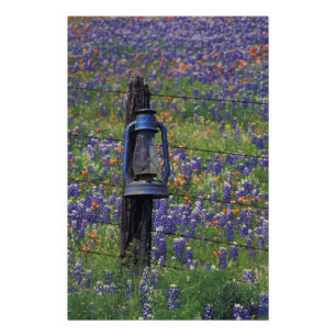Foto N.A., EUA, Texas, Llano, Lanterna Azul e