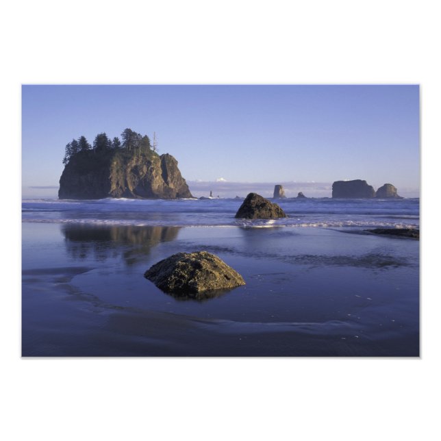 Foto N.A., EUA, Washington, Parque Nacional Olímpico, 2 (Frente)
