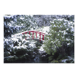 Foto N.A., EUA, Washington, Seattle. Ponte da lua em