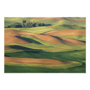 Foto N.A., EUA, Washington, Whitman County.