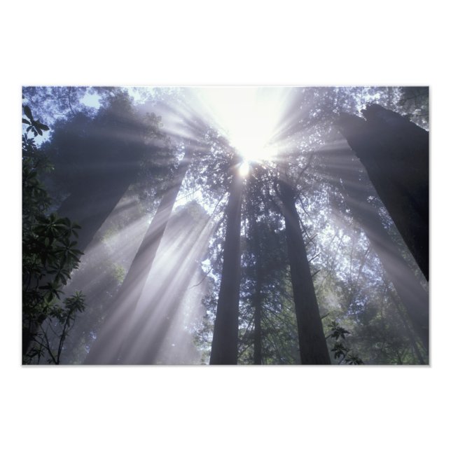Foto NA, EUA, Califórnia. Del Norte Coast State 2 (Frente)