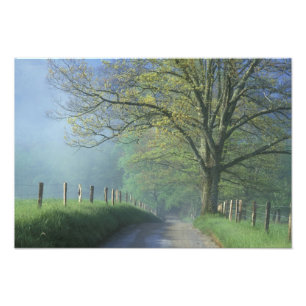Foto NA, EUA, Tennessee, Cades Cove, Great Smoky