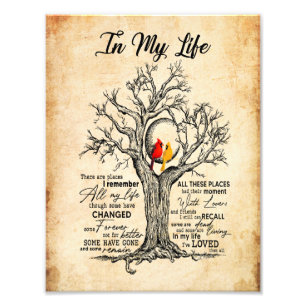 Foto Na Minha Vida Lembro-Me De Toda A Minha Vida Nest