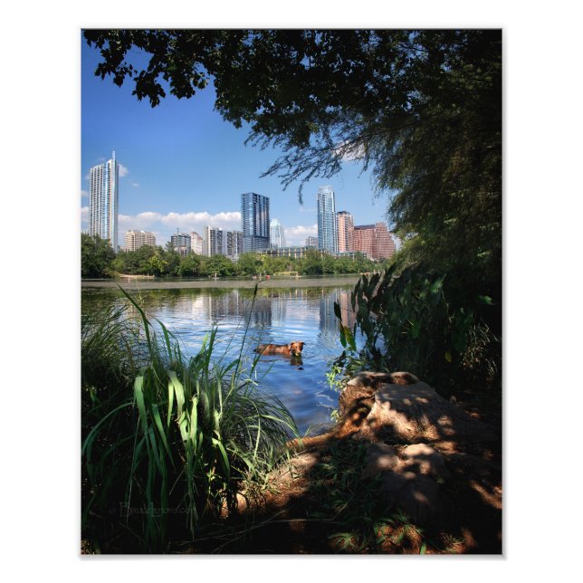 Foto Nadação de Cães - Lago Ladybird 2 - Austin Texas (Frente)