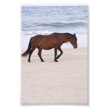 Nag na praia, Outer Banks na Carolina do Norte