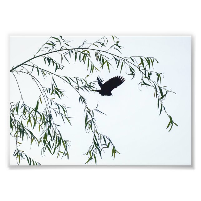 Foto Não vá embora (Frente)