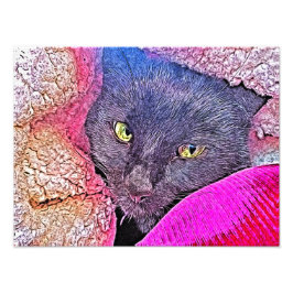 Foto Napoleão num cobertor