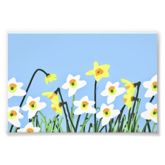 Foto Narcisos na Primavera – Arte Contemporânea