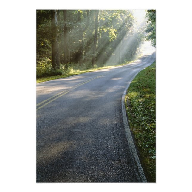 Foto nascer do sol através da névoa ao lado do rio Verd (Frente)