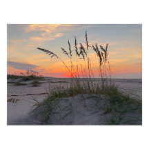 Nascer do sol na praia - Vida na Ilha Costeira