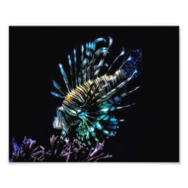 Foto natações de lionídeos