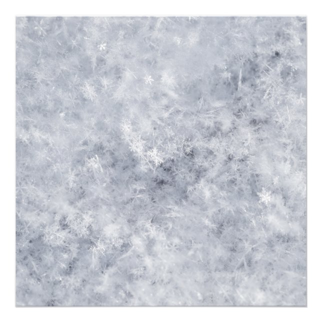 Foto Natal Branco da Neve (Frente)