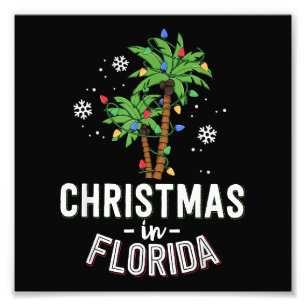 Foto Natal Em Flórida A Família Palm Trees Va