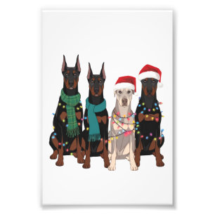 Foto Natal Mãe de Cachorro Amante do Doberman Férias 