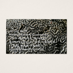 Foto natural do Abstrato do Coral Negro e Branco I