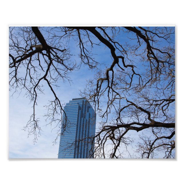 Foto Natural e Artificial em Dallas, Texas (Frente)