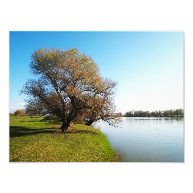 Foto natureza (Frente)
