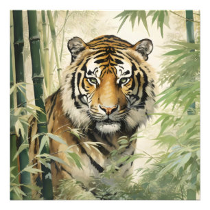 Foto Natureza Animal Tigre Bamboo