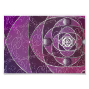 Foto Nautilina Photo Impressão