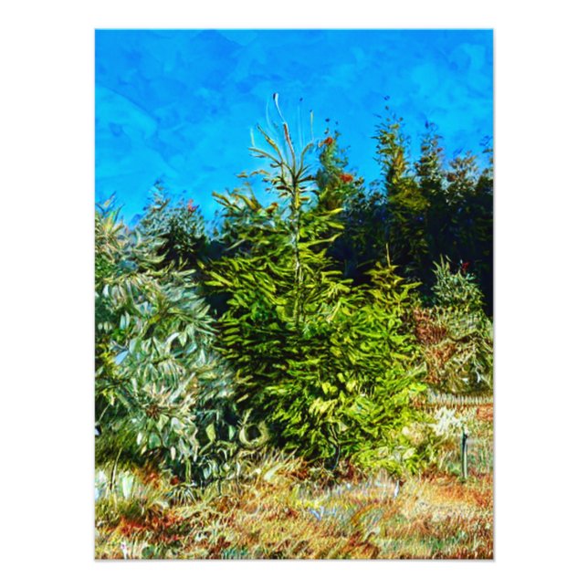 FOTO NAVEGAÇÃO (Frente)