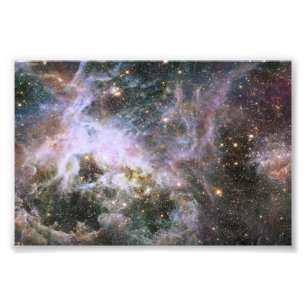 Foto Nebulosa cósmica do Tarantula do inseto rastejado