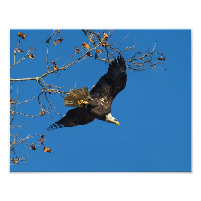 Foto Negócios sérios (Frente)