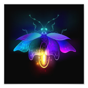 Foto Neon Firefly a preto
