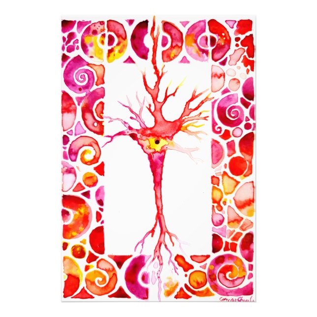 Foto Neurônio (Frente)