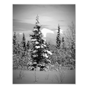 Foto Neve de Inverno
