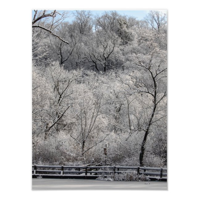 Foto Neve No Pond (Frente)