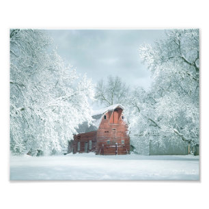 Foto Neve Vermelha Em Um Fresco De Inverno