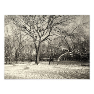 Foto New York Winter - East Village Snow