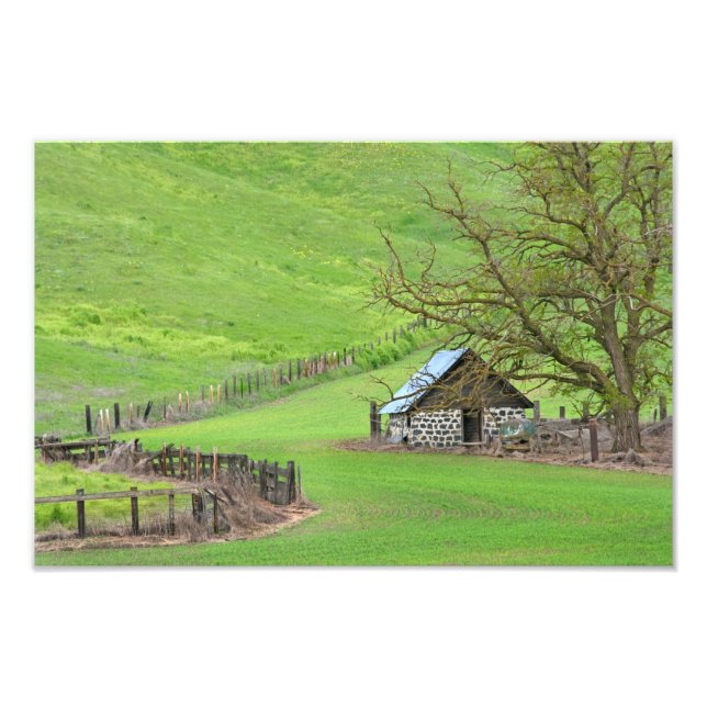 Foto No Knoll. (Frente)