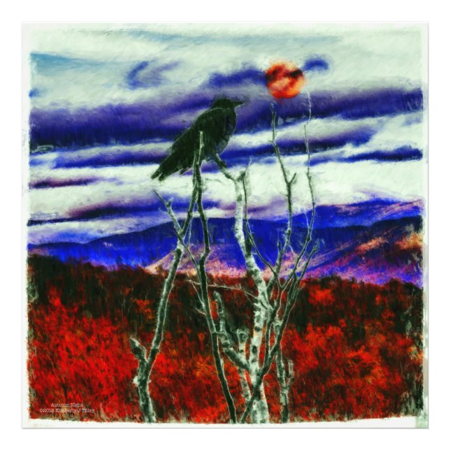 Foto Noite de outono (Frente)