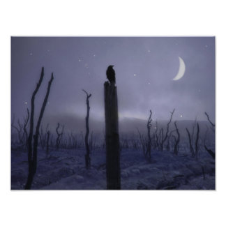 Foto Noite Mística Azul De Corvo